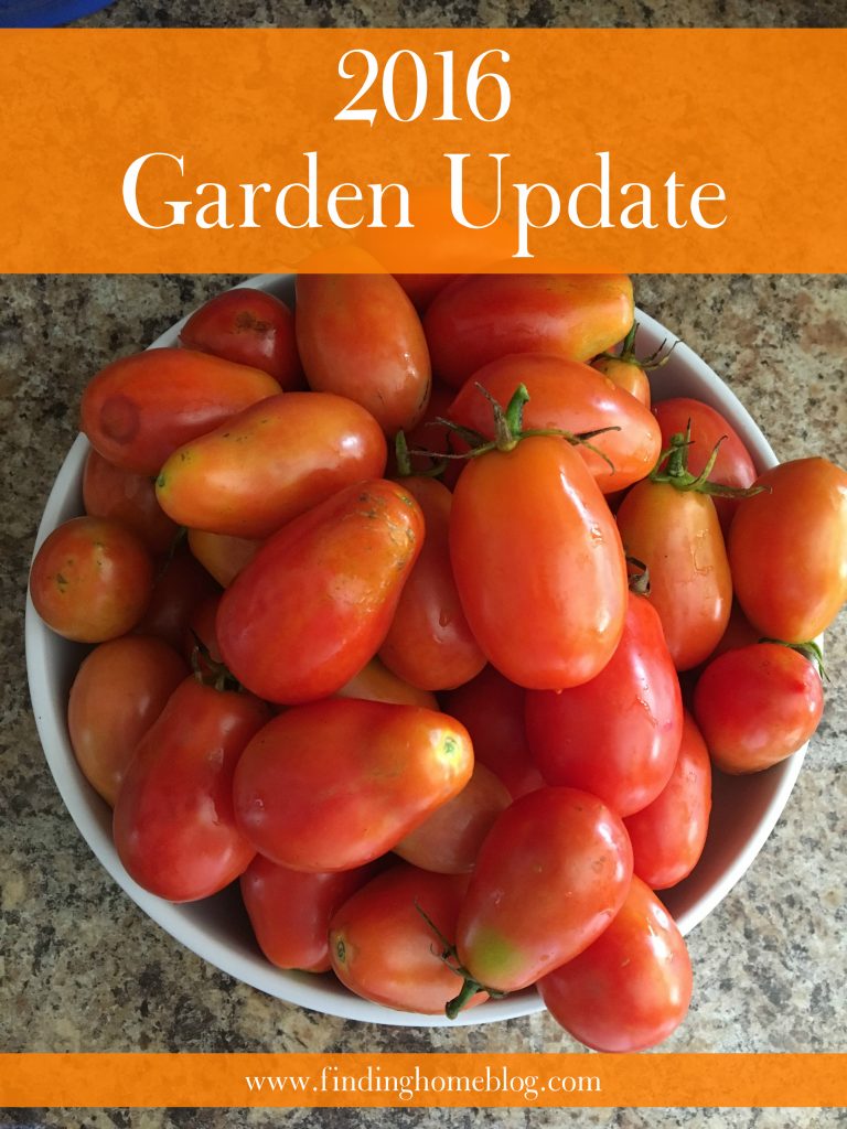 2016 Garden Update | Finding Home Blog
