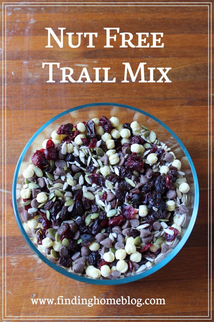 Nut Free Trail Mix Recipes