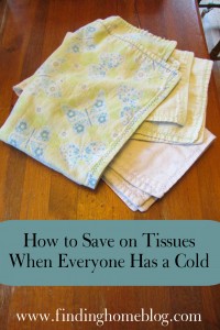 How to Save on Tissues When Everyone Has a Cold | Finding Home Blog