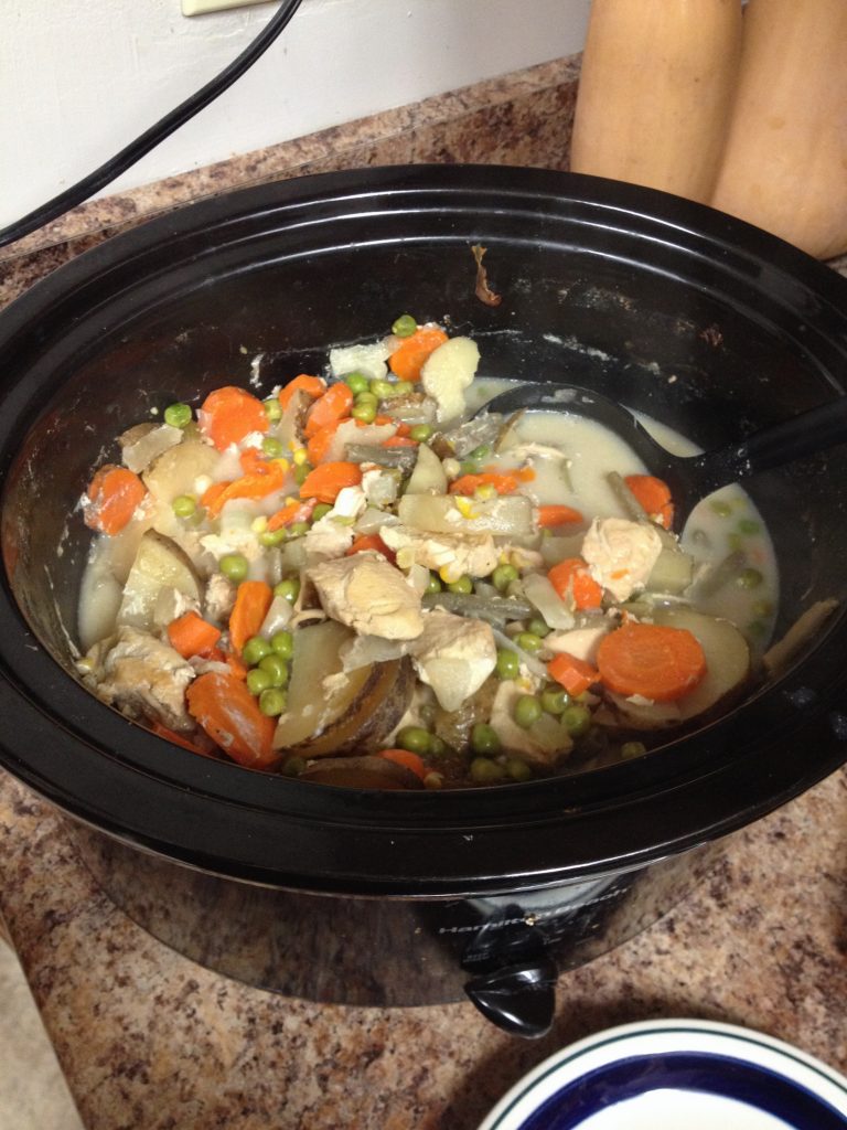 Crockpot Chicken Stew | Finding Home Blog