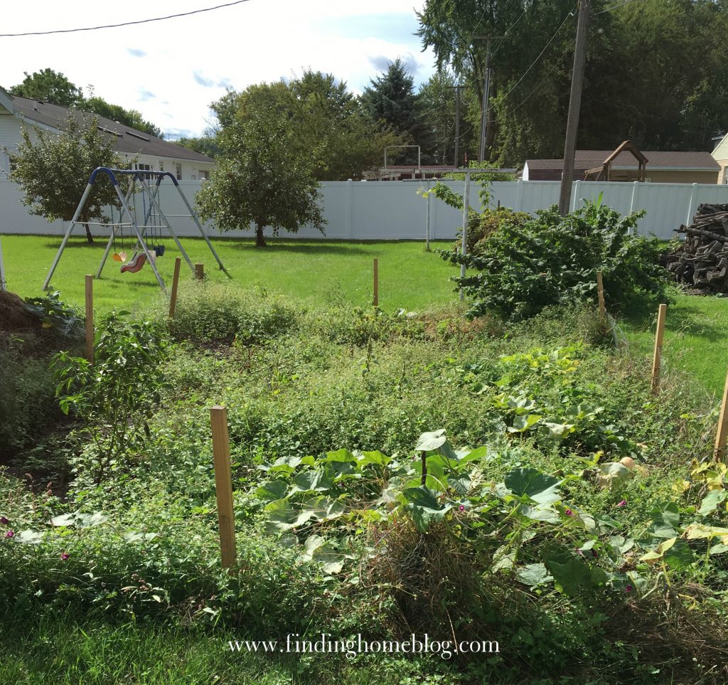 2016 Garden Update | Finding Home Blog