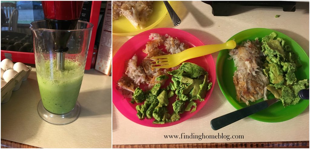 Green Eggs with Immersion Blender | Finding Home Blog