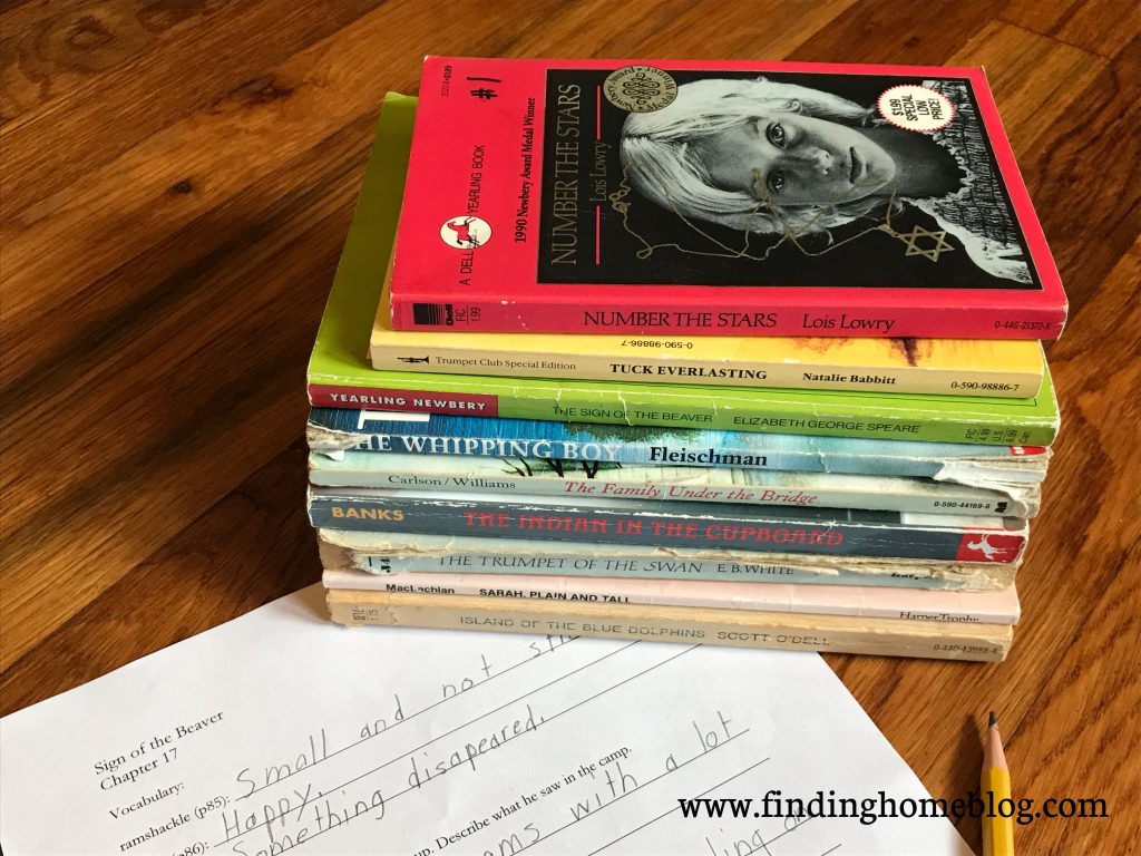 A stack of middle grade novels, also a bit of a worksheet and a pencil can be seen