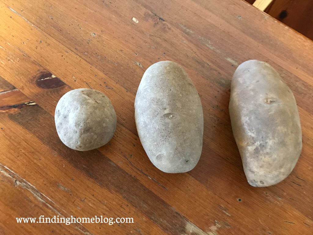 Three potatoes of various sizes on a wooden table.